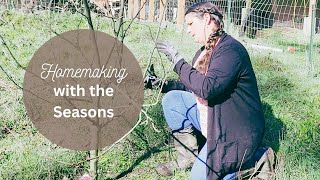 Homemaking with the seasons| Fruit Tree Pruning, Seasonal Eating, And Flexibility In The Home