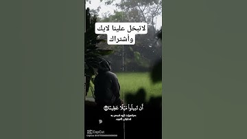 تلاوه خاشعه تلامس شغاف القلب #القرآن_الكريم #القران #لايك #راحة_نفسية #يارب