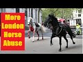 More london gov horse abuse  four horses spooked  get injured