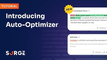 Introducing the Auto-Optimizer: Optimize Your Content For SEO In Minutes