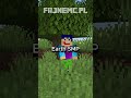 FAJNEMC.PL #fajnemc #minecraft #shrots #shorts #viralvideo #edit #gaming