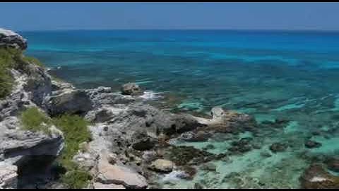 سورة العاديات بصوت القارئ هيثم ربحي معروف