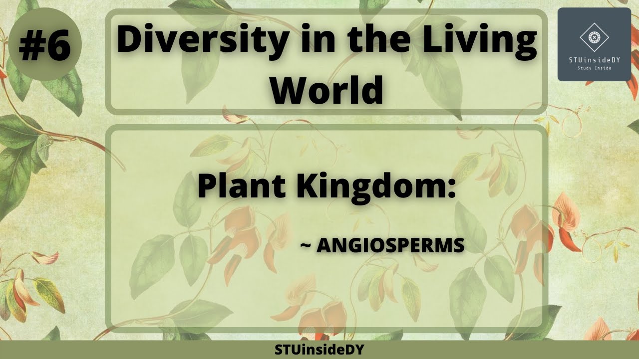 We are living in a world. Plant Kingdom. We Live in a diverse World презентация 9 класс.
