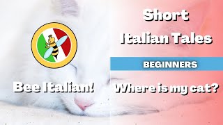 Learn Italian with Tales: Where&#39;s my Cat - Beginner Level - Bee Italian