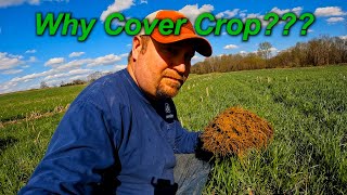 Why Cover Crop???  A Look At Our Soil Improvement.