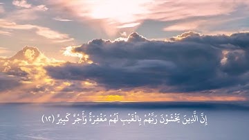سورة الملك بصوت الشيخ وليد المرزوقي