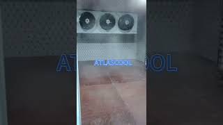 how to build a cold storage room for vegetables? #coldroom #freezerroom #blastfreezer #coldstorage