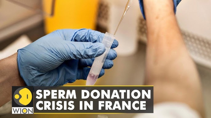 Lena Kudryavtseva porno