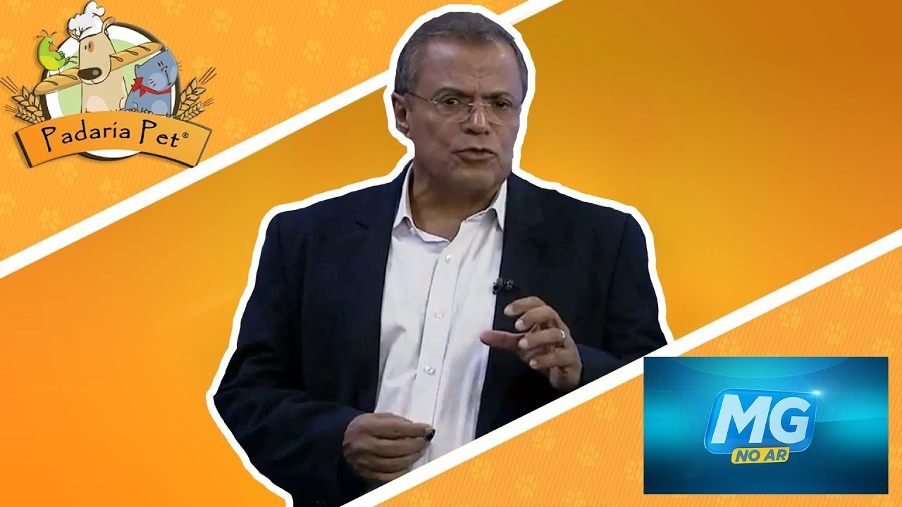 gatos feos Padaria Pet - MG no AR - 11/01/2018