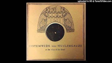 muslimgauze - smooth prophet