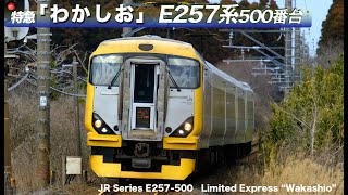 特急『わかしお』E257系500番台　/　JR Series E257-500 express "Wakashio"