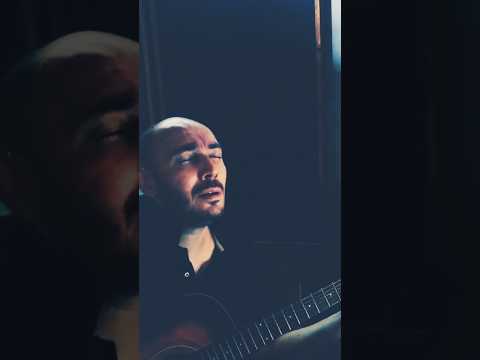 دل دیوانه بازخوانی ترانه احساسی ویگن