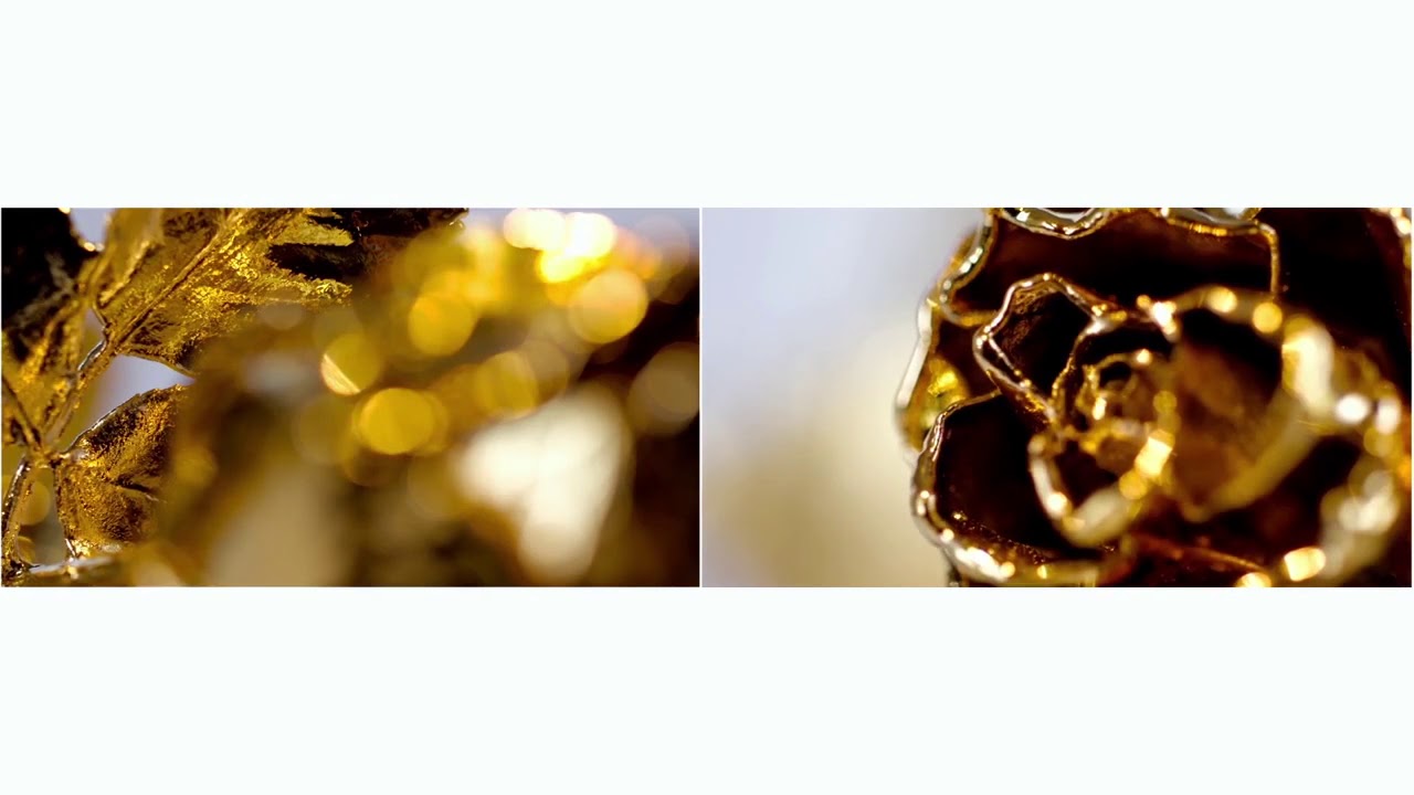 Herstellung Der Degussa Goldrosen Youtube
