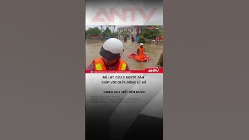 Kịp thời cứu 2 người dân chới với giữa dòng lũ dữ #antv #shorts #thoisu