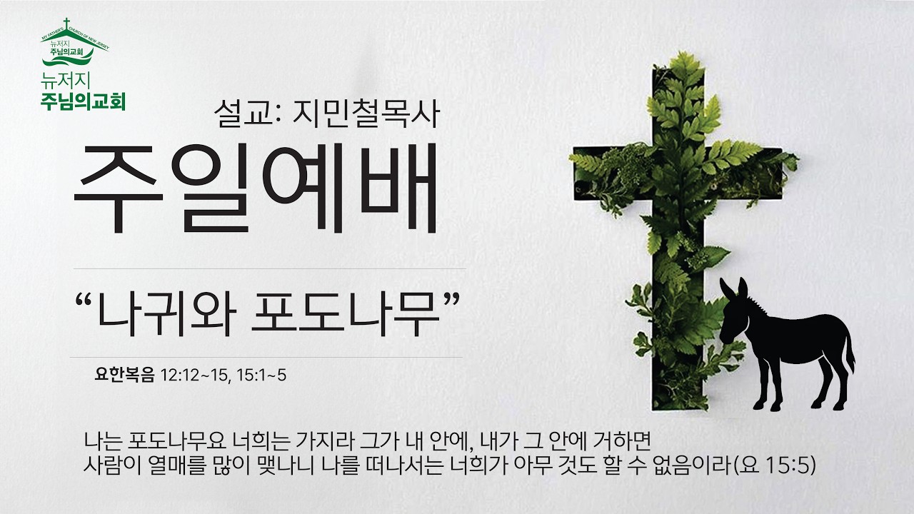 3292026 나귀와 포도나무 지민철 목사