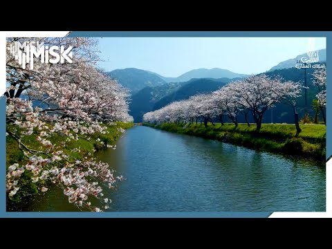 فيديو: الحديقة اليابانية (الجزء 4)