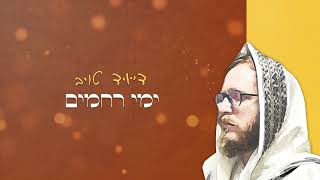 דייויד טויב - אדון עולם