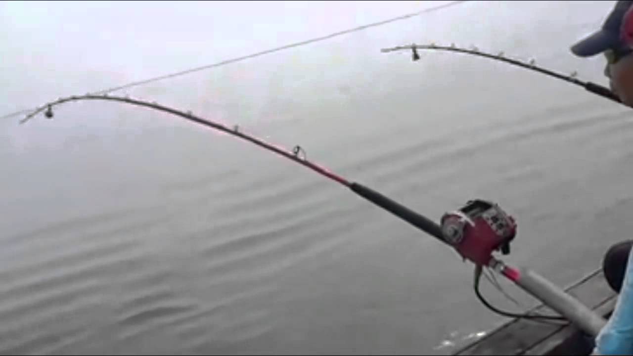 Memancing Ikan Jenahak Super Mantap Besar | Mancing Mania Mantap