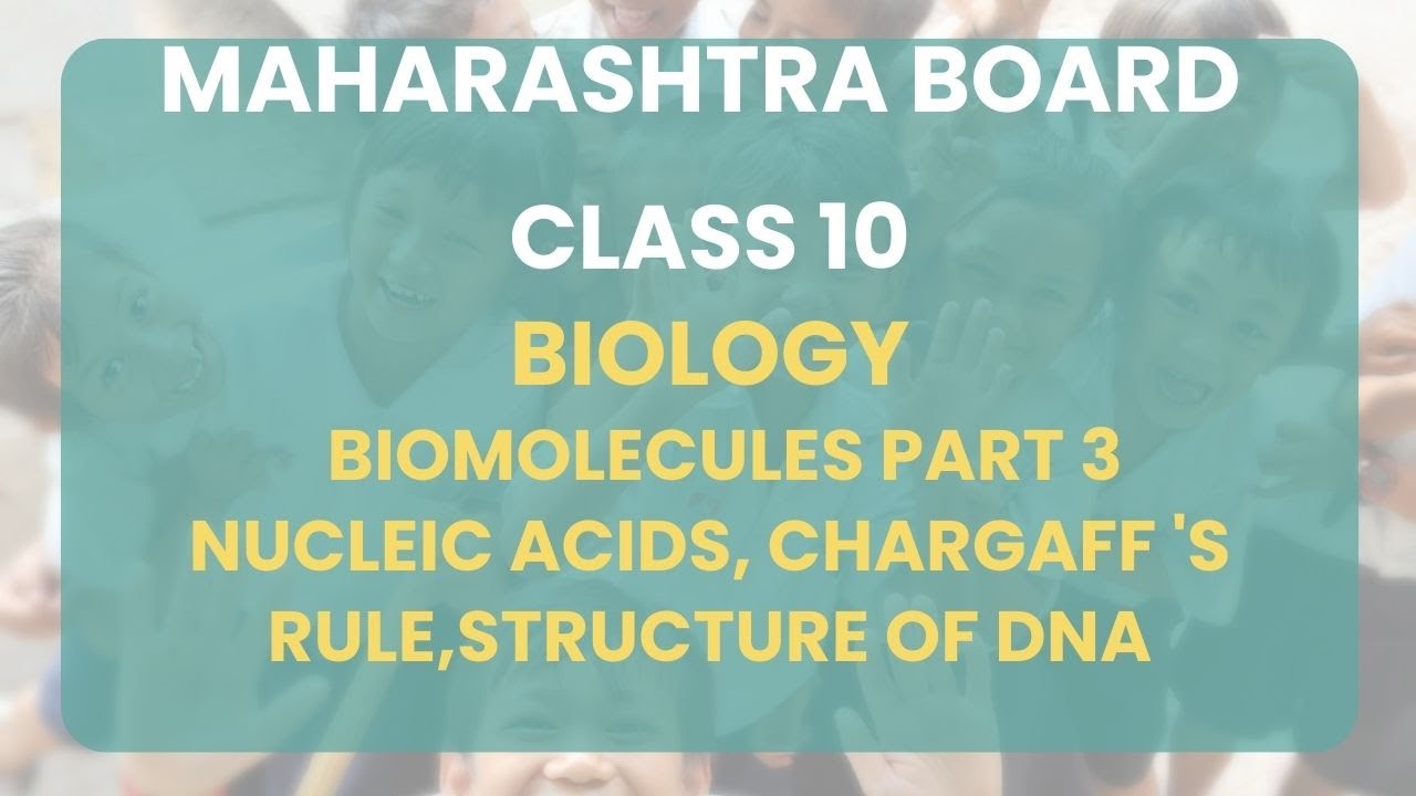 Class 11 | Biology - Biomolecules Part 3 Nucleic Acids, Chargaff 's rule,Structure  of DNA