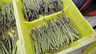 Fruit and Vegetable Prescription Program