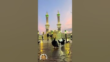 آیات راهنمای قرآن | سوره زیبای بقره آیه 255 🤲🙏 #تلاوت #قرآن #نقل #سلام