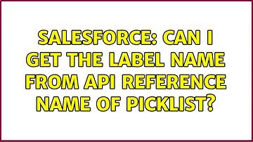 Salesforce: Can I get the label name from api reference name of picklist?