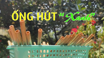 ĐIỆN BIÊN - NÓI KHÔNG VỚI RÁC THẢI NHỰA: SỬ DỤNG ỐNG HÚT "XANH"