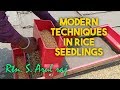 Recent technique in rice seedlings     farmers happy essenceworld