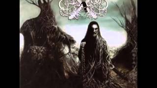 Elffor - Kateek loturik...