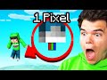 I Played ONE BLOCK on a Single PIXEL! (Minecraft)