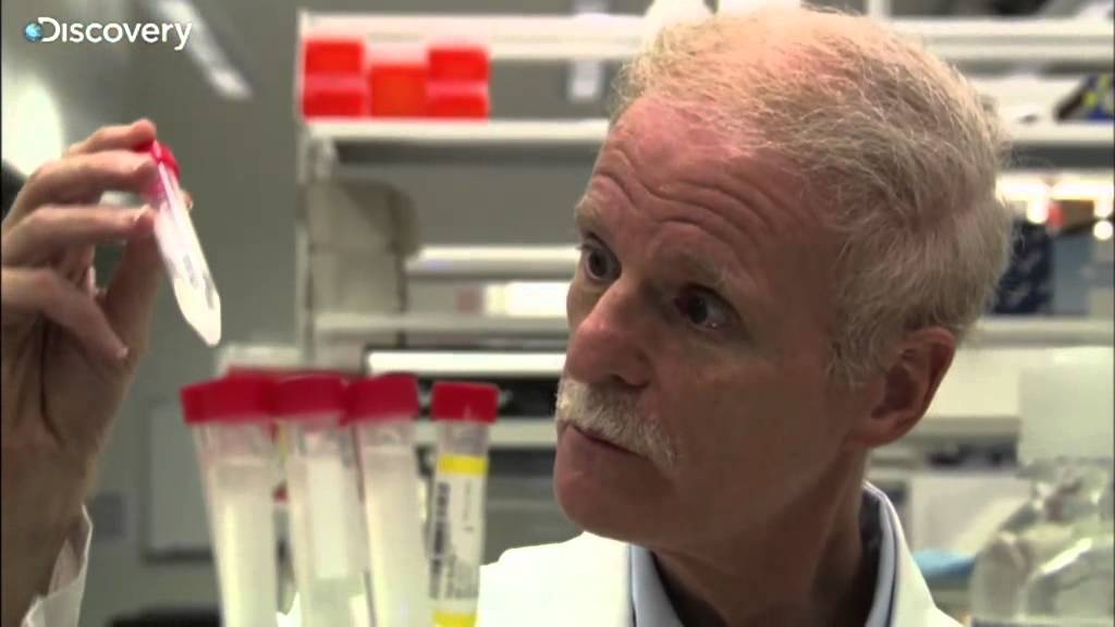 Prime Suspect - Scream: The True Story