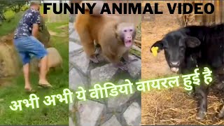 New Zilli funny viral video 2022 l #zilifunnyvideo #zilivideo #zilicomedy