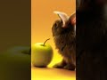 Green apple and rabbit