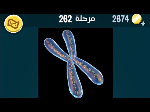 كلمات كراش  كلمات كراش ٢٦٢ كلمات كراش مرحلة 