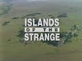 Animal oddities islands of the strange
