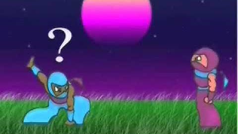 Flash Animation (Paper Ninja)