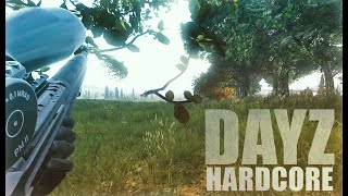 DayZ 1.03 - М(1)4