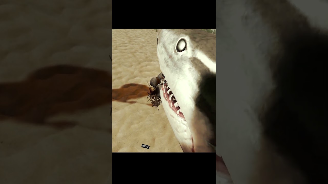 The Forest - Shark Bait