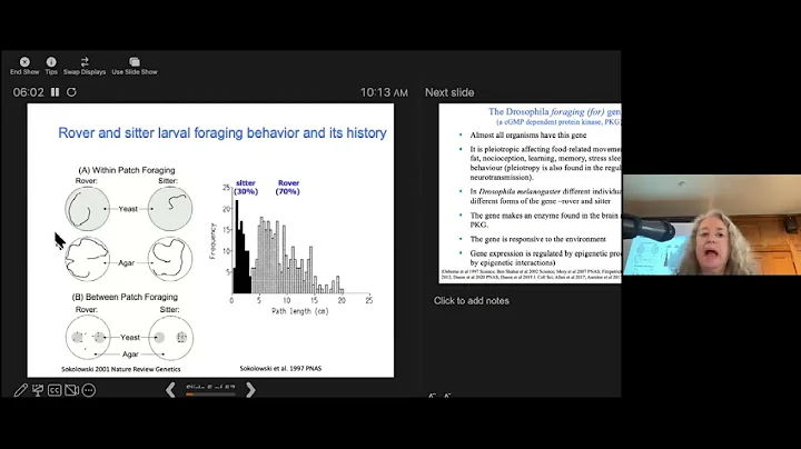 Marla Sokolowski,  Ecology and Evolutionary Biolog...