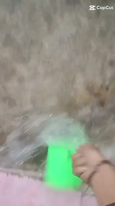 Udin yg petot udara dingin enaknya🗿