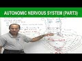 Autonomic Nervous System Part 3 | Neurology | Neuroanatomy