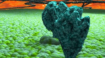 lipid membrane rafts