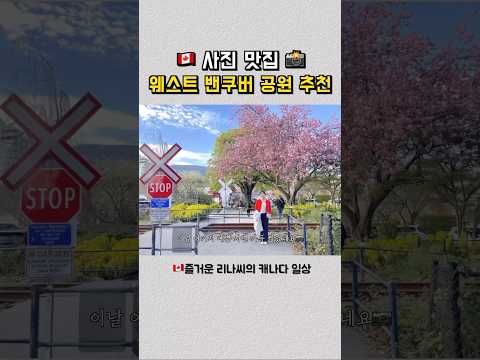 예쁜 공원이 너~~무 많은 밴쿠버🥰#vancouver