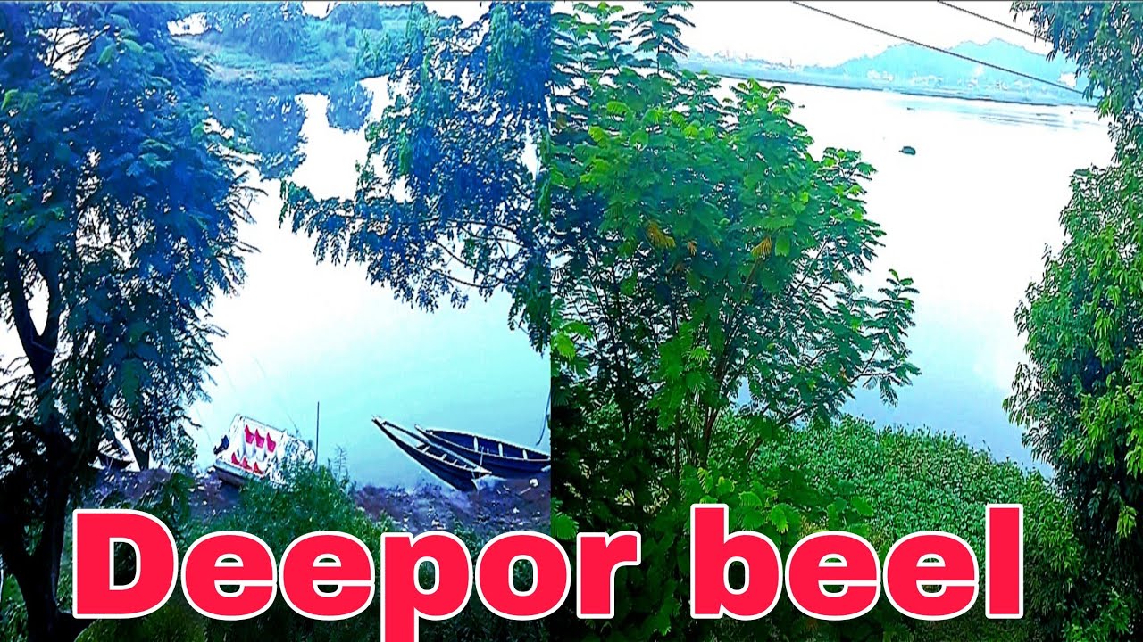 Deepor Beel (Dipor Bil) || A Beautiful Lake in Guwahati || A Lost Paradise || 