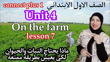 كونكت بلس 1 أولى ابتدائى الوحدة الرابعة الدرس السابع connect plus 1 unit 4 lesson 7