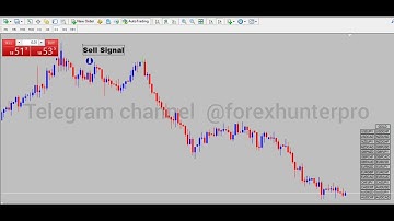 Ultimate Guide to Buy Sell Arrow Non Repaint Indicator MT4 and MT5