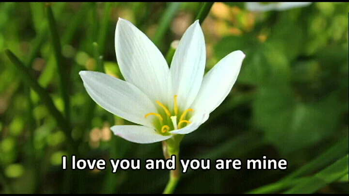 You Are Mine - David Haas ( The Best Of David Haas...