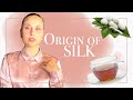 What is Silk? Where does it come from? Why is it so expensive? Origin and Background.