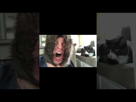 Eddie and the Cowardly Lion