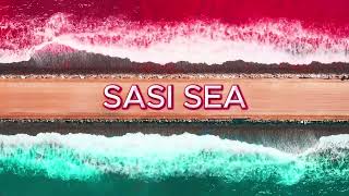 Sasi Sea 2025     Sean Rii  Ft  Sharzkii  U0026   B Dust 